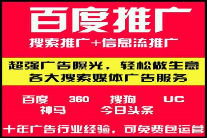 百度竞价排名策略解析：一家公司的广告投放策略全揭秘